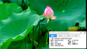 戰(zhàn)國(guó)美少女1斬?cái)嘣瓶障螺d 