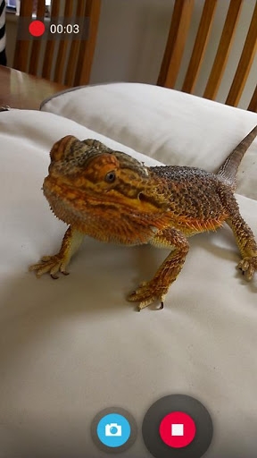 Snap Camera v6.2.0 安卓版圖3