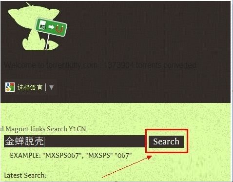 torrentkitty怎么用