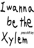 I wanna be the Xylem 綠色版 