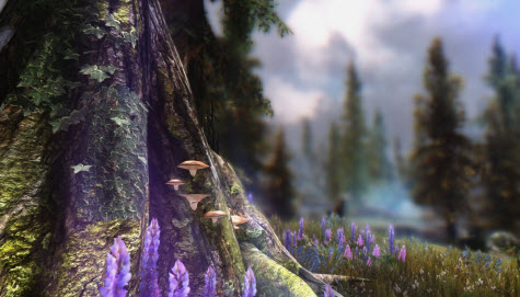 上古卷軸5游戲內(nèi)可調(diào)ENB補(bǔ)丁下載 綠色免費(fèi)版圖1