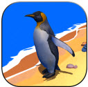 模擬企鵝豪華版 1.0 安卓版 
