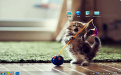 搞怪貓咪電腦主題 win7版 