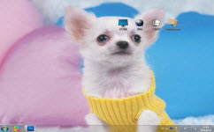 萌寵狗狗電腦主題 win7版 