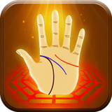 看手相 v3.3.4 安卓版 