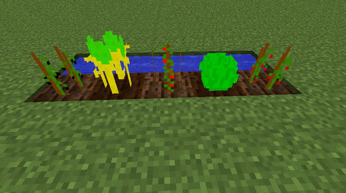 我的世界食物mod