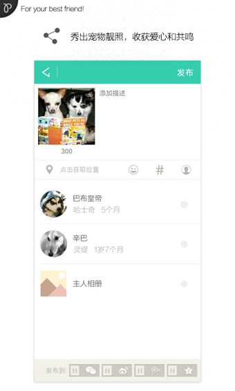 拍它 v1.4.0.3374 安卓版圖4