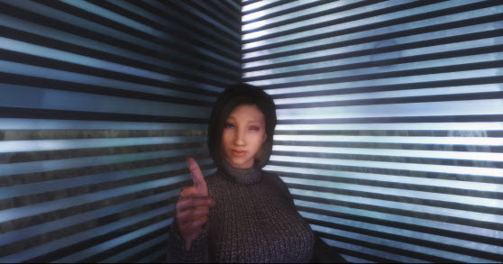 上古卷軸5表情mod