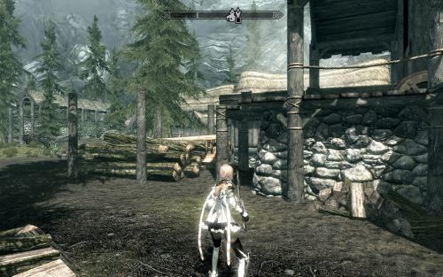 上古卷軸5天際最終幻想13雷霆mod 綠色版圖2