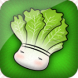 養(yǎng)生菜譜寶典下載 1.1 安卓版 