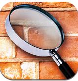 眼前的背叛 v1.1 安卓版 