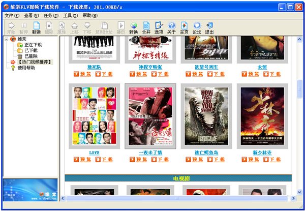 維棠FLV視頻下載軟件