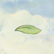 風子 v1.0 安卓版 