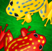 青蛙吃蟲蟲無限金幣版 v1.0 安卓版 