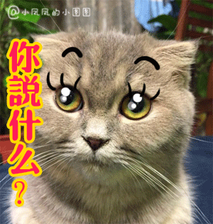 妞妞和端午表情包下載 24P 綠色免費(fèi)版 