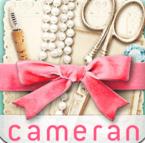 cameran collage v1.4.6 安卓版 