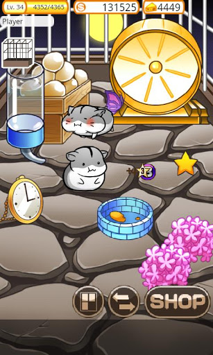 倉鼠的日常 v3.8.1 安卓版圖4