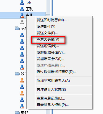 RTX頭像顯示插件