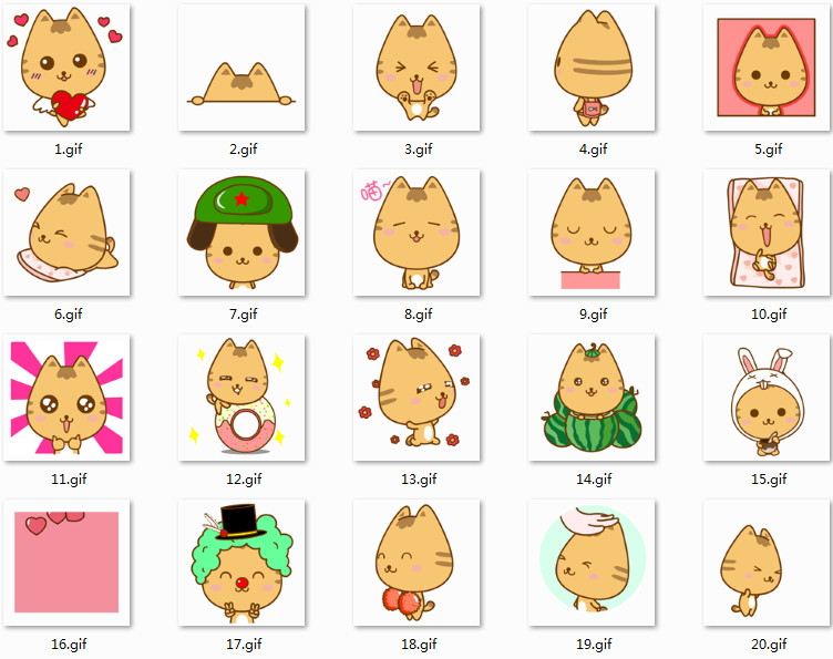 乖乖貓賣萌QQ表情包