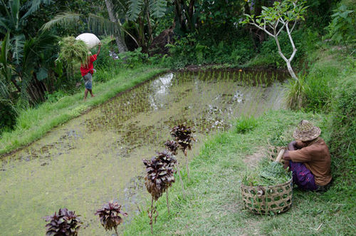 photoshop cc中文版免費下載