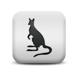 LOL一鍵選英雄小工具 1.0 綠色免費(fèi)版 