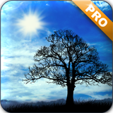 藍(lán)天動(dòng)態(tài)壁紙 v1.1.3 安卓版 