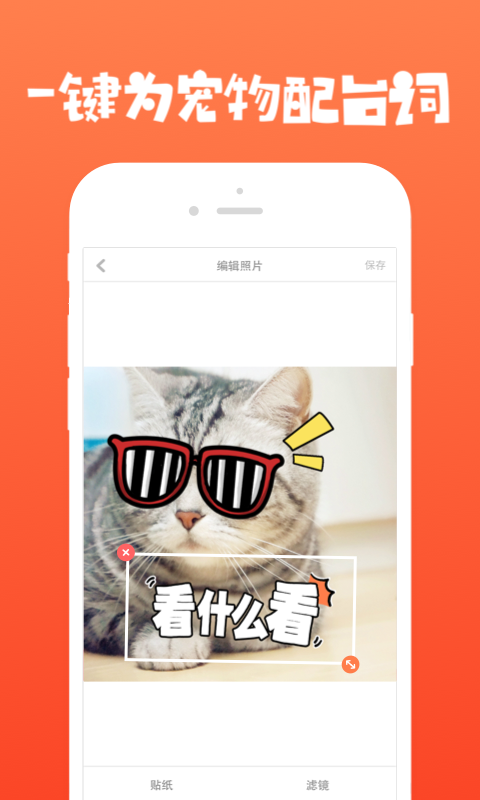 萌球app V1.4.2 官方最新版圖2