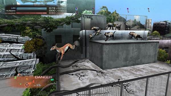 東京叢林中文版下載