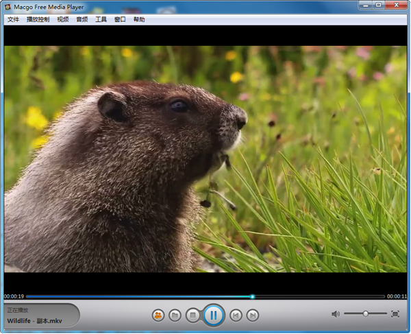 Macgo Free Media Player