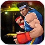 功夫戰(zhàn)士拳皇 v1.0 安卓版 