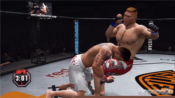 終極格斗冠軍賽3