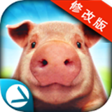 頑皮豬模擬破解版 v1.1.2 安卓版 