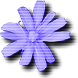 Cloanto C64 Forever Plus Edition 2016.0.19.0 綠色版 