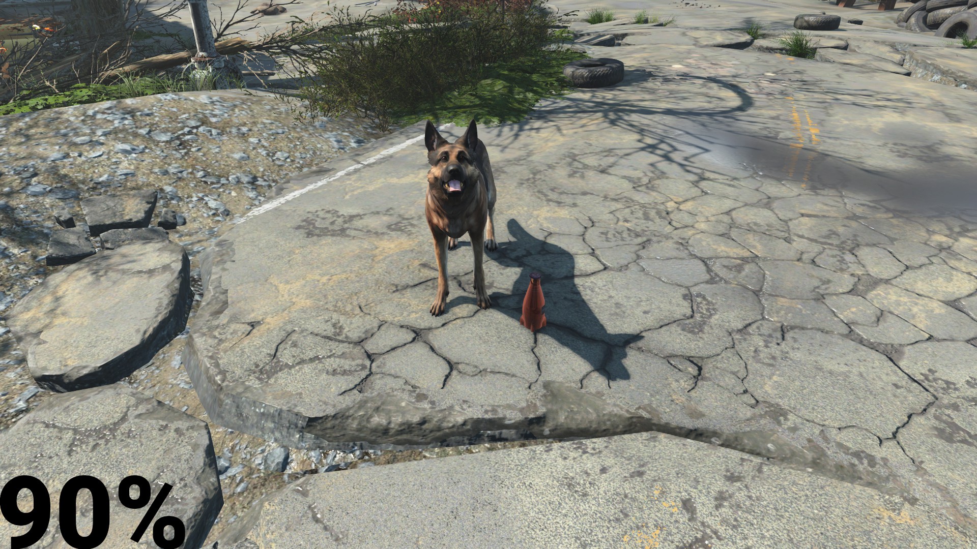 輻射4幼犬狗肉MOD