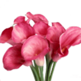 繁體中文手寫輸入法 v1.2.10.24 安卓版 