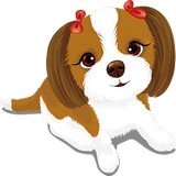 嘟嘟錄音 v4.60 手機(jī)版 