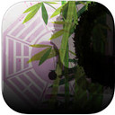 大師奇門app V3.1 官方版 