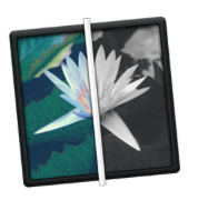 Filtron Mac版 V1.0 官方版 