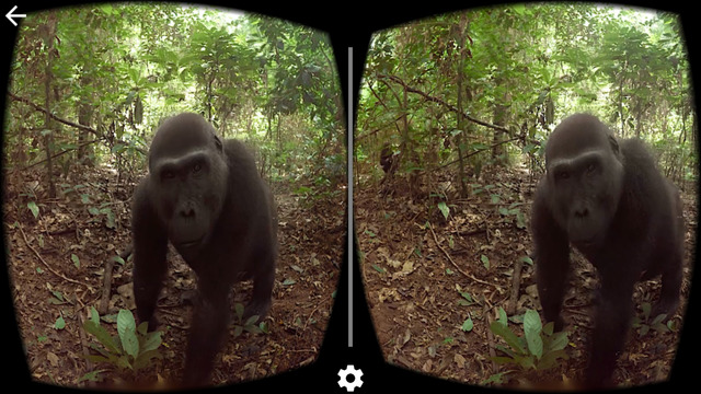 Google Cardboard camera