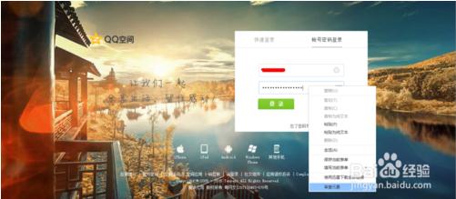 星號(hào)密碼查看器