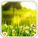 春天動(dòng)態(tài)壁紙下載 V1.46 安卓版 