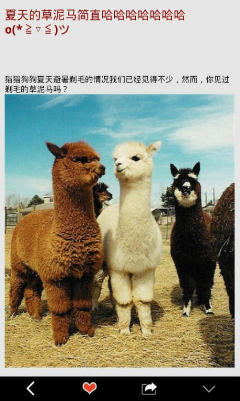 樂(lè)活麻花下載 v8.1.8 安卓版圖4