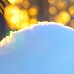 可愛雪景動(dòng)態(tài)壁紙 V1.11.1 安卓版 