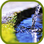 青春的洋溢 v1.0 安卓版 