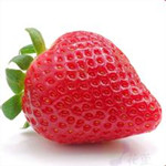 紅草莓電子白板軟件 v1.0.0 免費版 