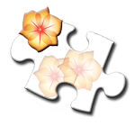 指尖圖片下載 V4.0.0 安卓版 