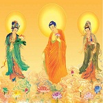 佛弟子視頻播放器 v2017.05.01 綠色免費版 