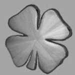 defy BL(bootloader)等級查看工具 