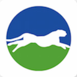 雪豹 v1.0 安卓版 