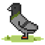 培養(yǎng)鴿子下載 v1.0 安卓版 